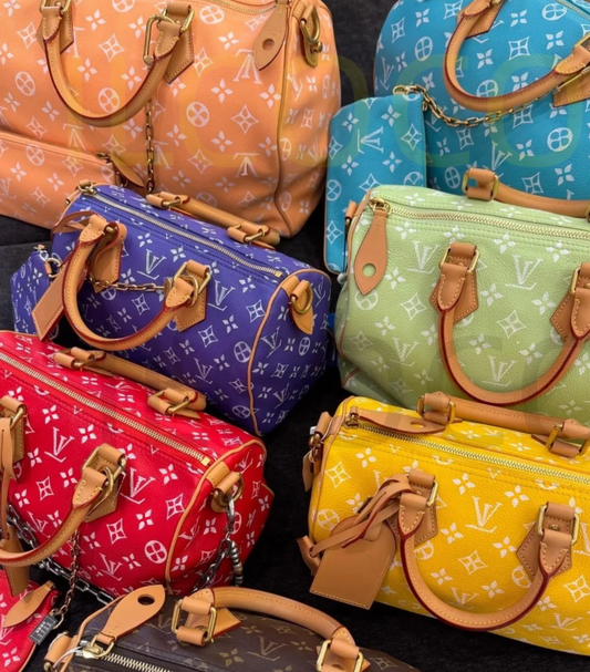 Assorted Colors Bagjunki'd LV Speedy  30